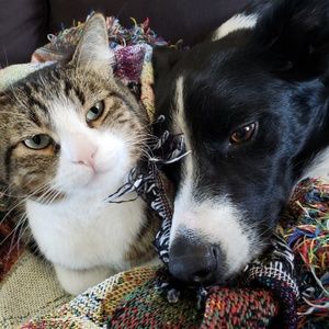 Meet your Posher, Courtney